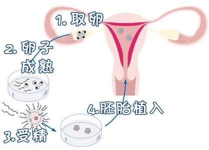关于安悦佳妇产医院